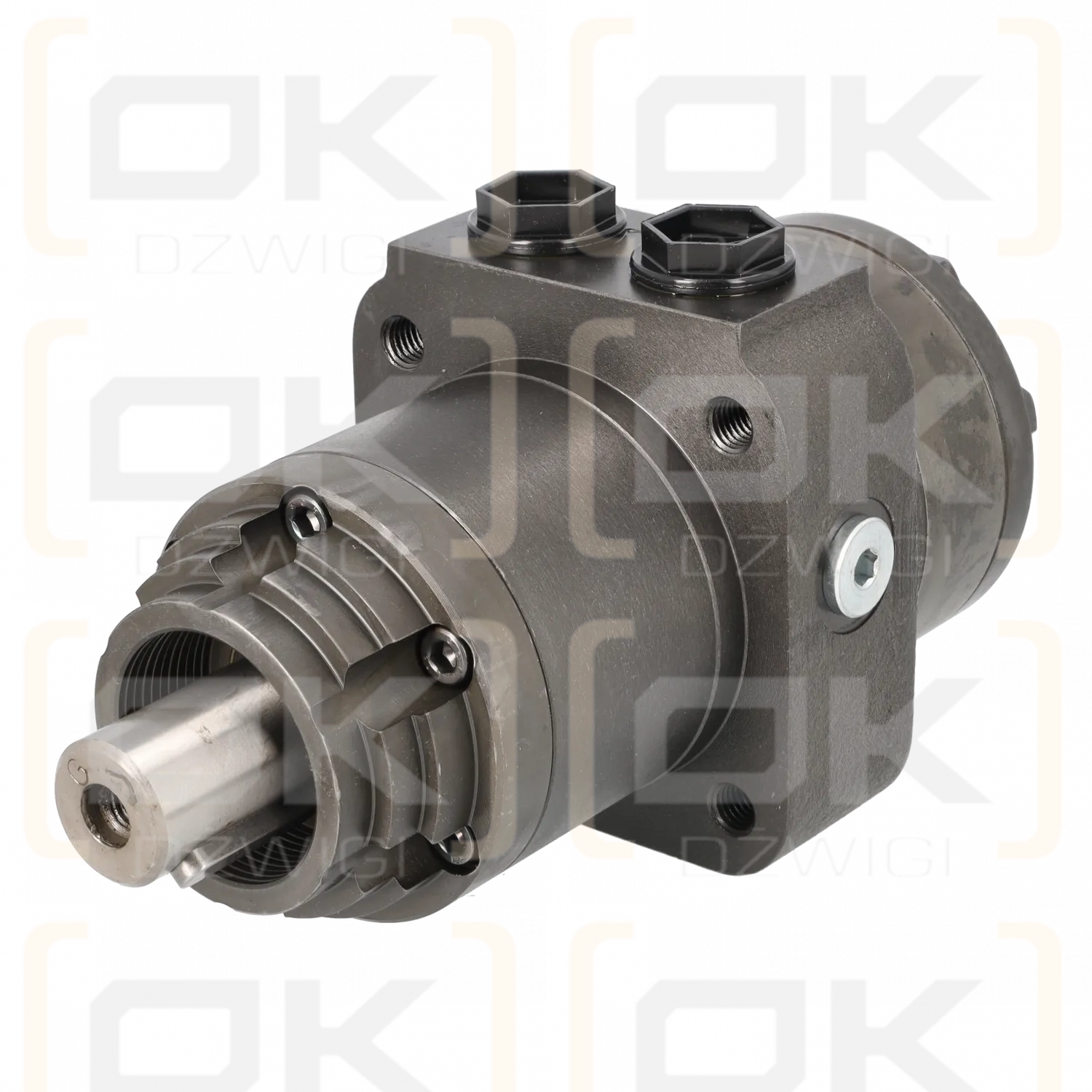 Гидравлический двигатель M+S MPWF 200 CD/5